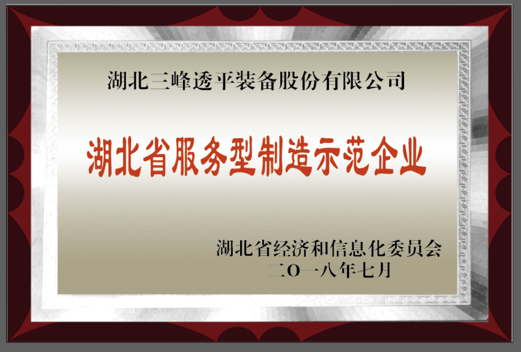湖北省服務(wù)型制造示范企業(yè)